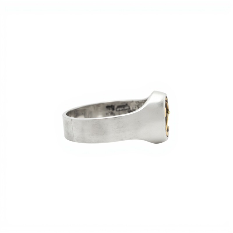 Anillo Profesión Enfermería -Plata y Oro -Sin Piedra-AP5063 sinpiedra