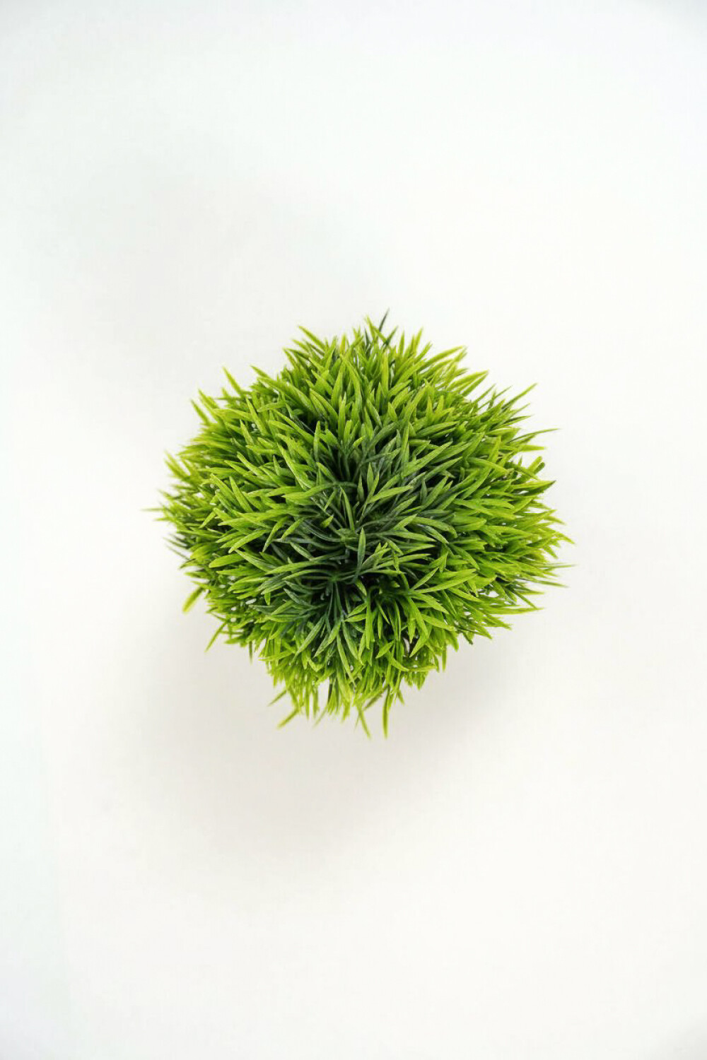 Planta Suculenta Artificial Color Unico