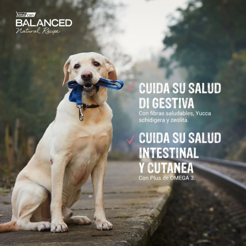 VITALCAN BALANCED EXCLUSIVE PERROS ADULTOS CERDO 15 KG + 2 KG REGALO + TARRINA VITALCAN BALANCED EXCLUSIVE PERROS ADULTOS CERDO 15 KG + 2 KG REGALO + TARRINA