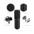 Microfono Condensador Kit Grabación Brazo Articulado Youtuber Gamer Pro Usb Imback Color Negro Microfono Condensador Kit Grabación Brazo Articulado Youtuber Gamer Pro Usb Imback Color Negro