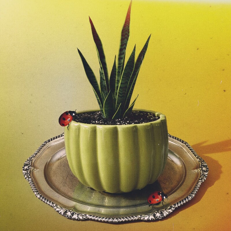 Maceta de cerámica Bellota amarillo