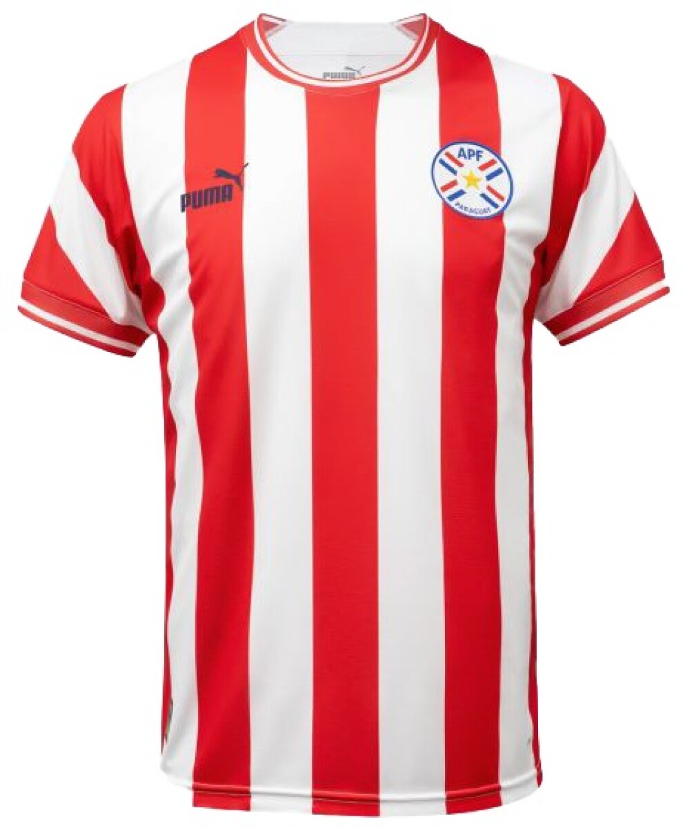Camiseta Puma Paraguay 2023 765910V01 