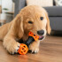 Juguete Morder Perros Gatos Limpieza Dental Golosinas Premio Color Negro Naranja
