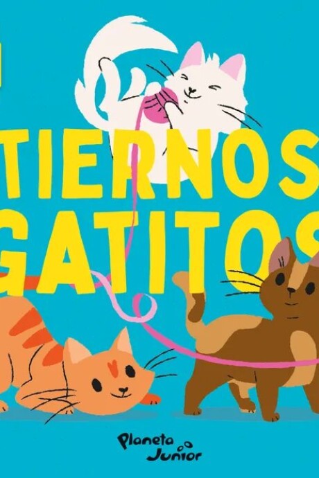 TIERNOS GATITOS TIERNOS GATITOS