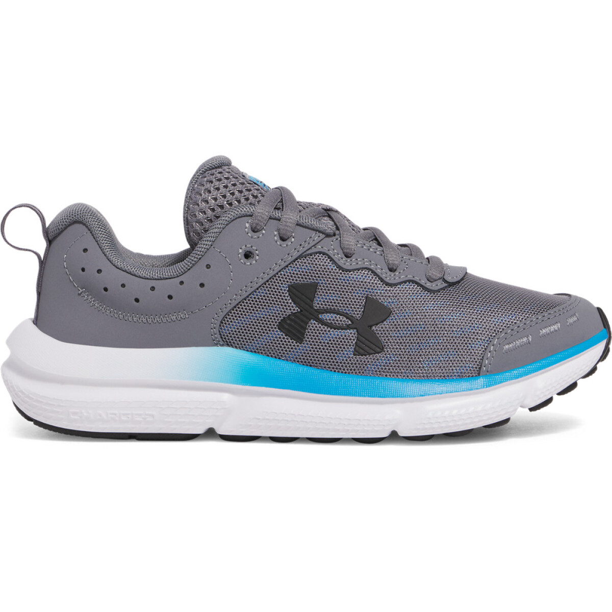 UA BGS Assert 10-GRY - GRY-024 