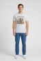 Camiseta estampada Elefante GRIS MELANGE