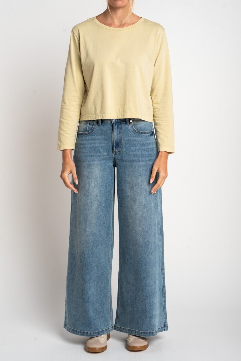 Remera Manga Larga Lavada Pistacho