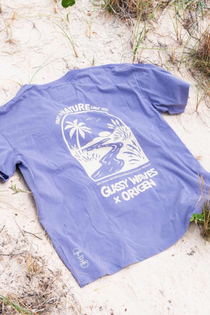 Remeron Nature Origen / Violeta Wash U