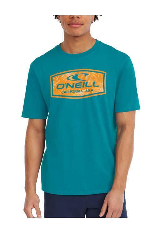 Remera O'Neill California Bloom - Celeste