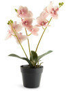 Planta artificial GUDJON H35 cm orquídea Planta artificial GUDJON H35 cm orquídea