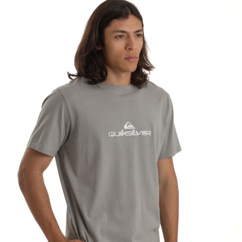 Remera Quiksilver Logo Gris