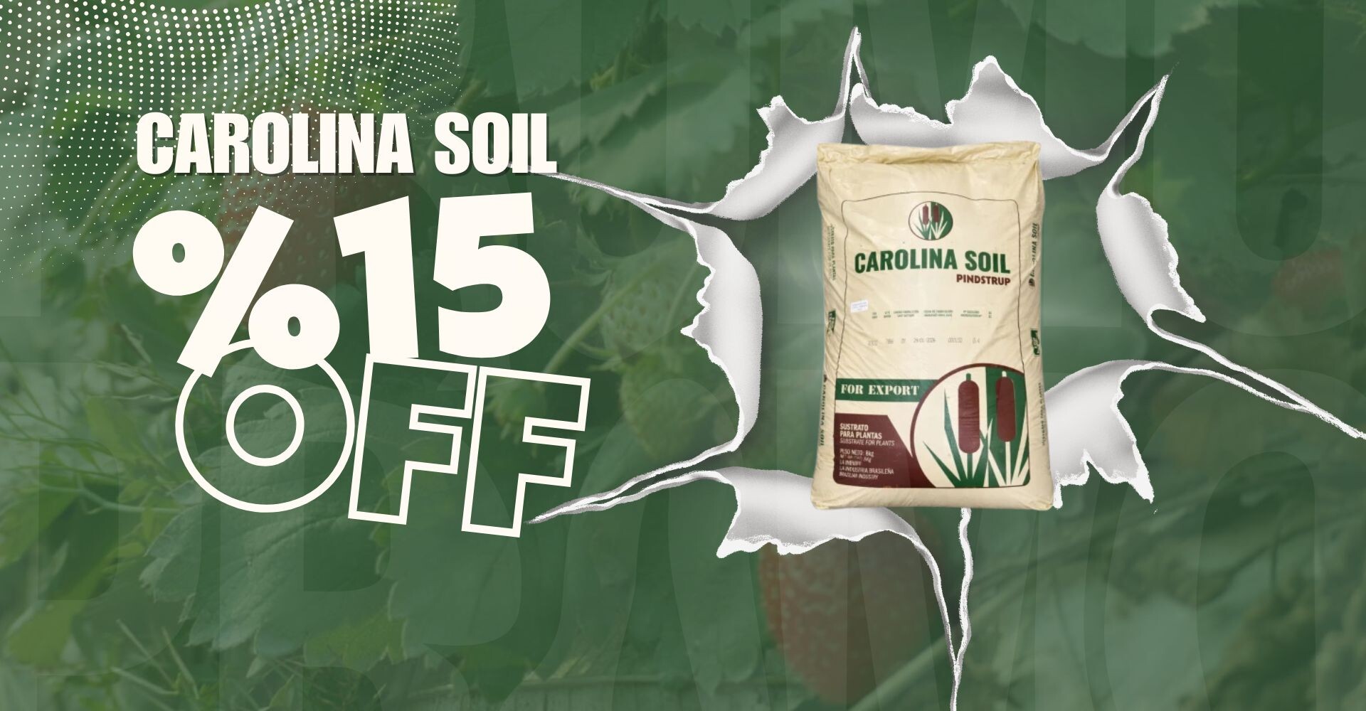 carolina soil