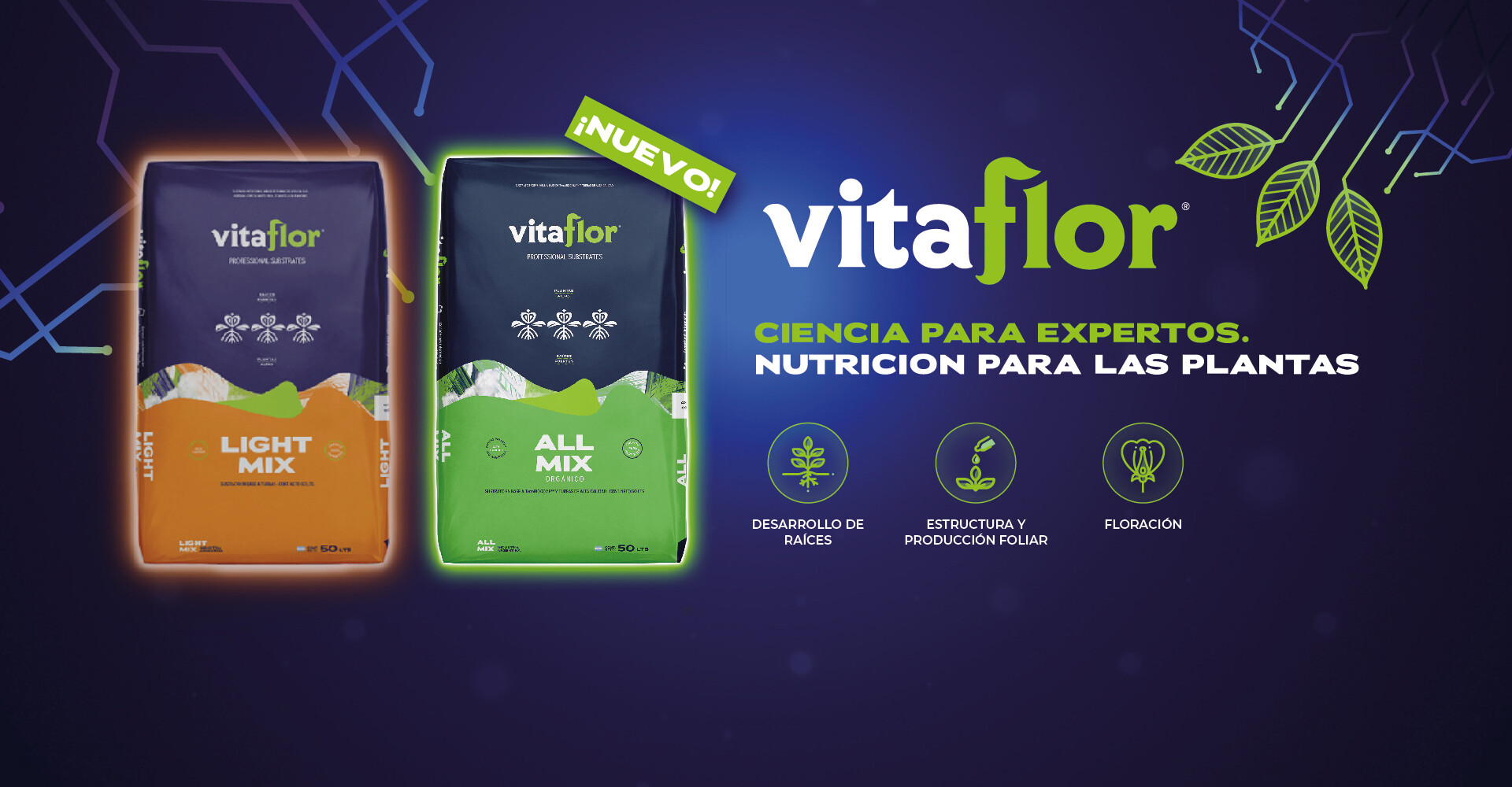 Linea completa vitaflor