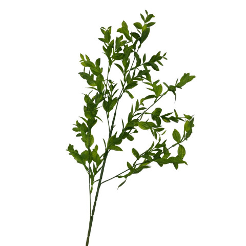 Rama de Hojas Rama de Hojas