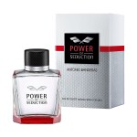 AB POWER OF SEDUCCTION EDT FR. X 200 ML. única
