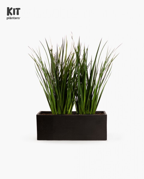 KIT Jardinera "Negro mate" 80cm* 30cm* 30cm* C/ Dietes y Sustratos