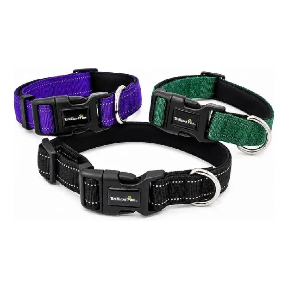 Collar Para Mascotas Talle M Refractario VERDE