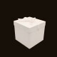 Caja de Regalo Mediana Blanco