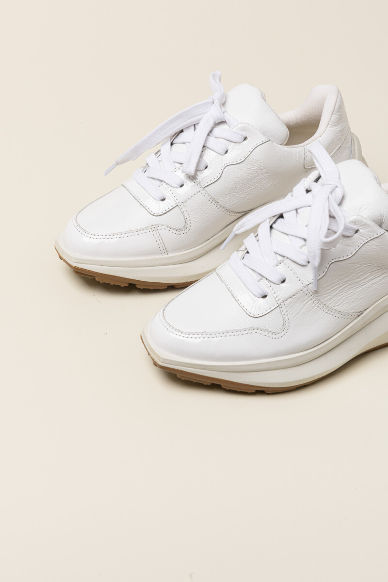 Champion Cury BLANCO