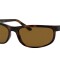Ray-Ban 2027 Havana