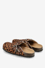 CLOG CORAL Leopardo