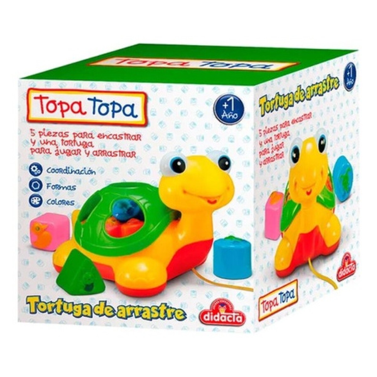 Tortuga de arrastre Didacta con juego de encastre 