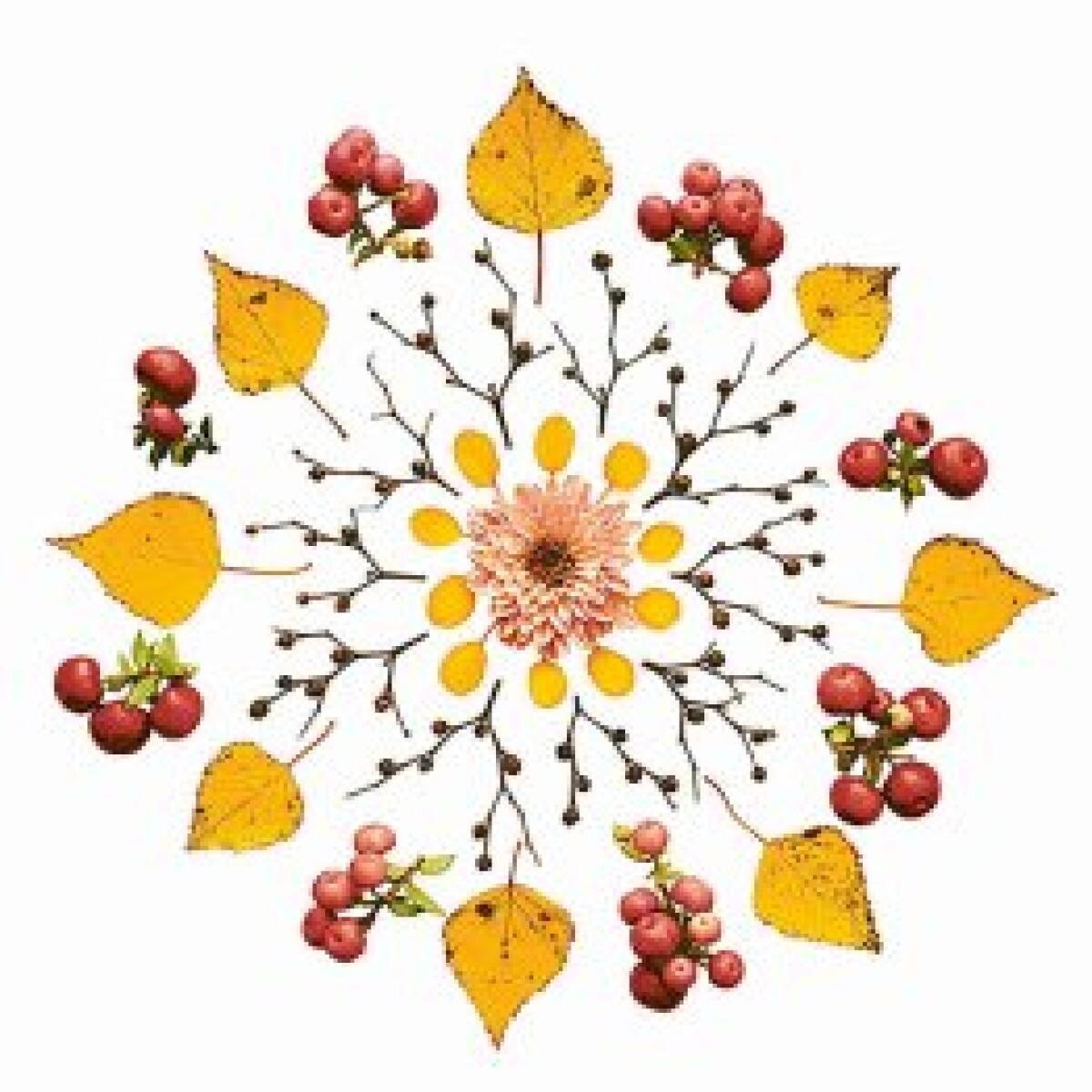 Servilletas Triple Hoja Peper-Desing x20 - Diseño 28 