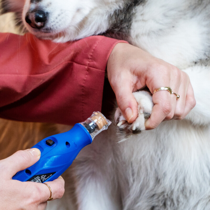 Lixador elétrico de unhas Dremel PET\_26 Dremel Unica
