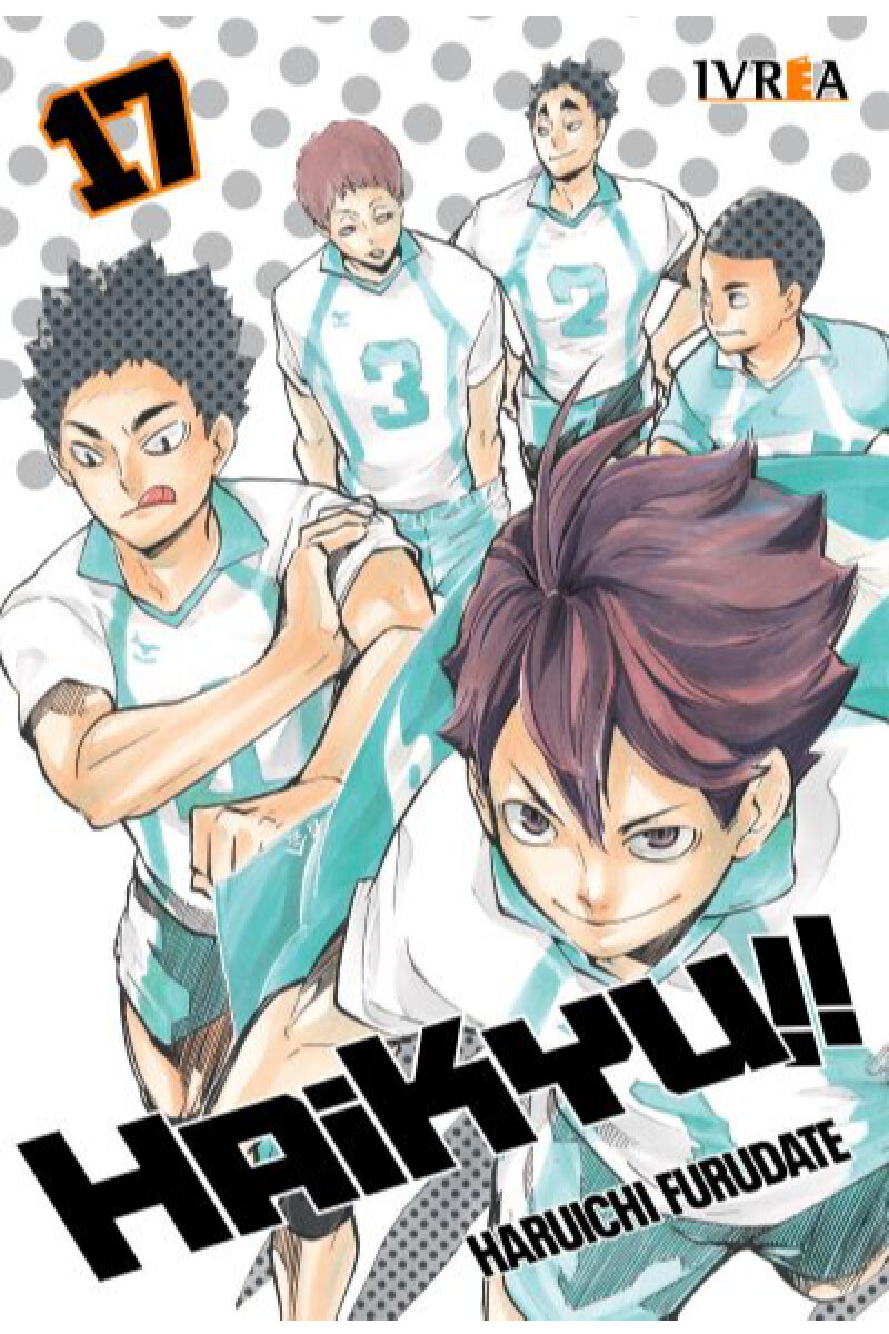 Haikyu!! 17 