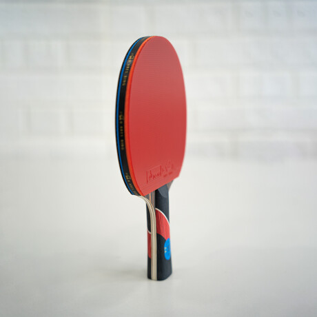 Paleta De Ping Pong 6 Estrellas Tenis De Mesa Png004106