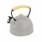 Caldera con Silbador - 2.5 L s Gris