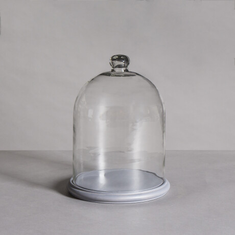 Campana de vidrio con base en madera Campana de vidrio con base en madera