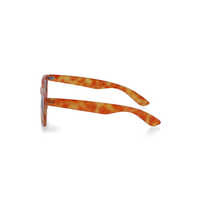 Lentes de sol Allie Howard con polarizado y protección UV Whisky