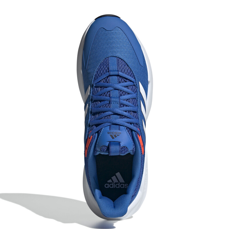 Championes de Hombre Adidas Alphaedge Azul Real - Blanco