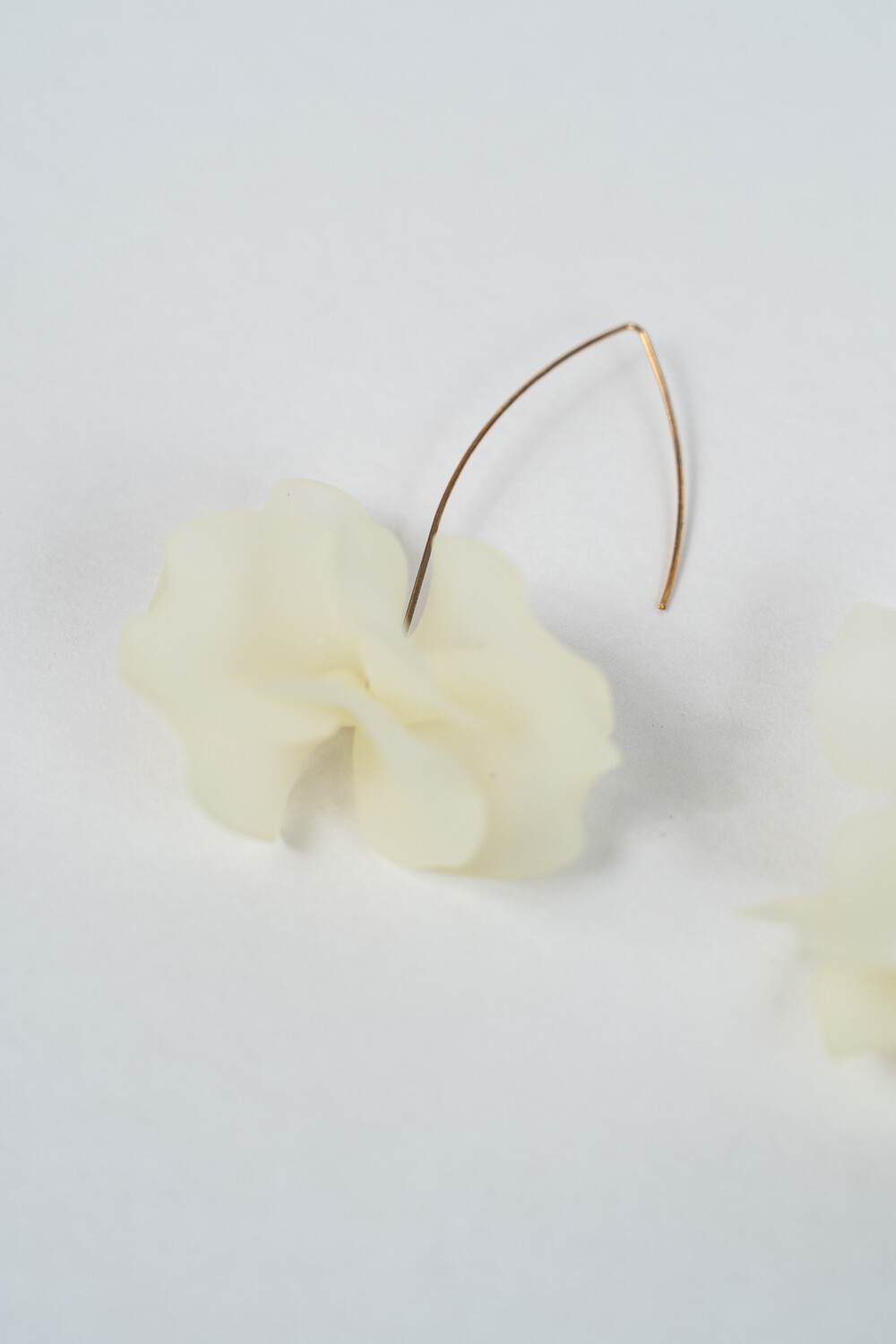 Caravana Liro Estampado 3