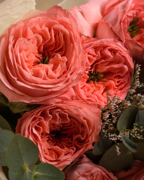 Ramos de 12 rosas Ramos de 12 rosas