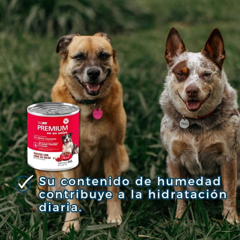 PREMIUM SALSA PATÉ PERRO ADULTO CARNE 340 GR PREMIUM SALSA PATÉ PERRO ADULTO CARNE 340 GR