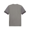 Camiseta Puma Teamgoal Matchday 13