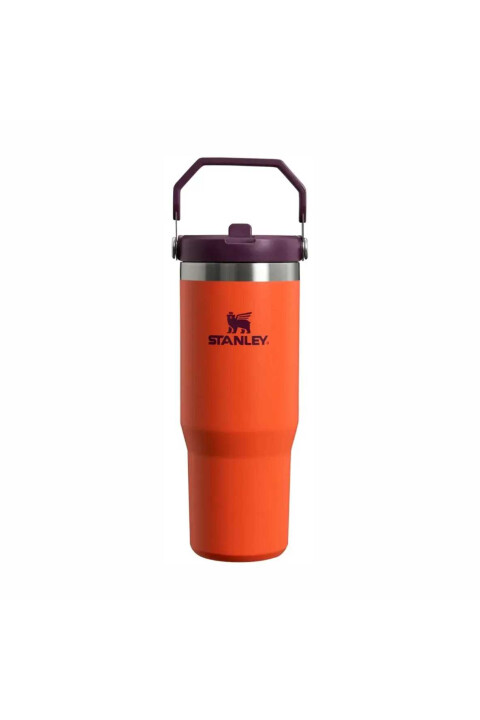 FLIP STRAW TUMBLER | 887 ML TIGERLILY PLUM