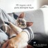 EQUILIBRIO GATITOS 7.5 KG