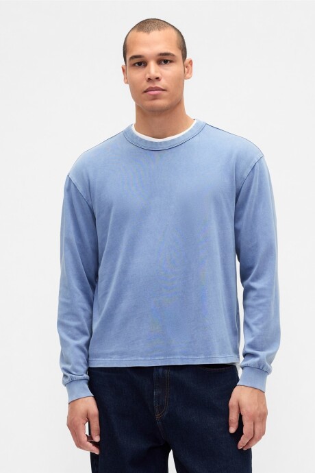 Remera Manga Larga Heavyweight Hombre Cornflower829