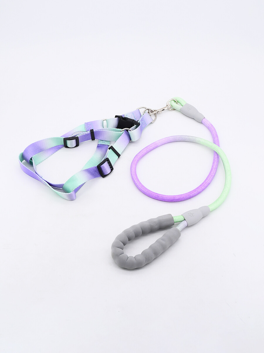 ARNÉS AJUSTABLE CON CORREA ELÁSTICA - MULTICOLOR 