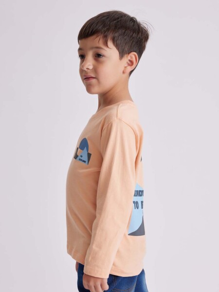 Remera manga larga Salmón