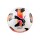 PELOTA DE FUTBOL KING 13