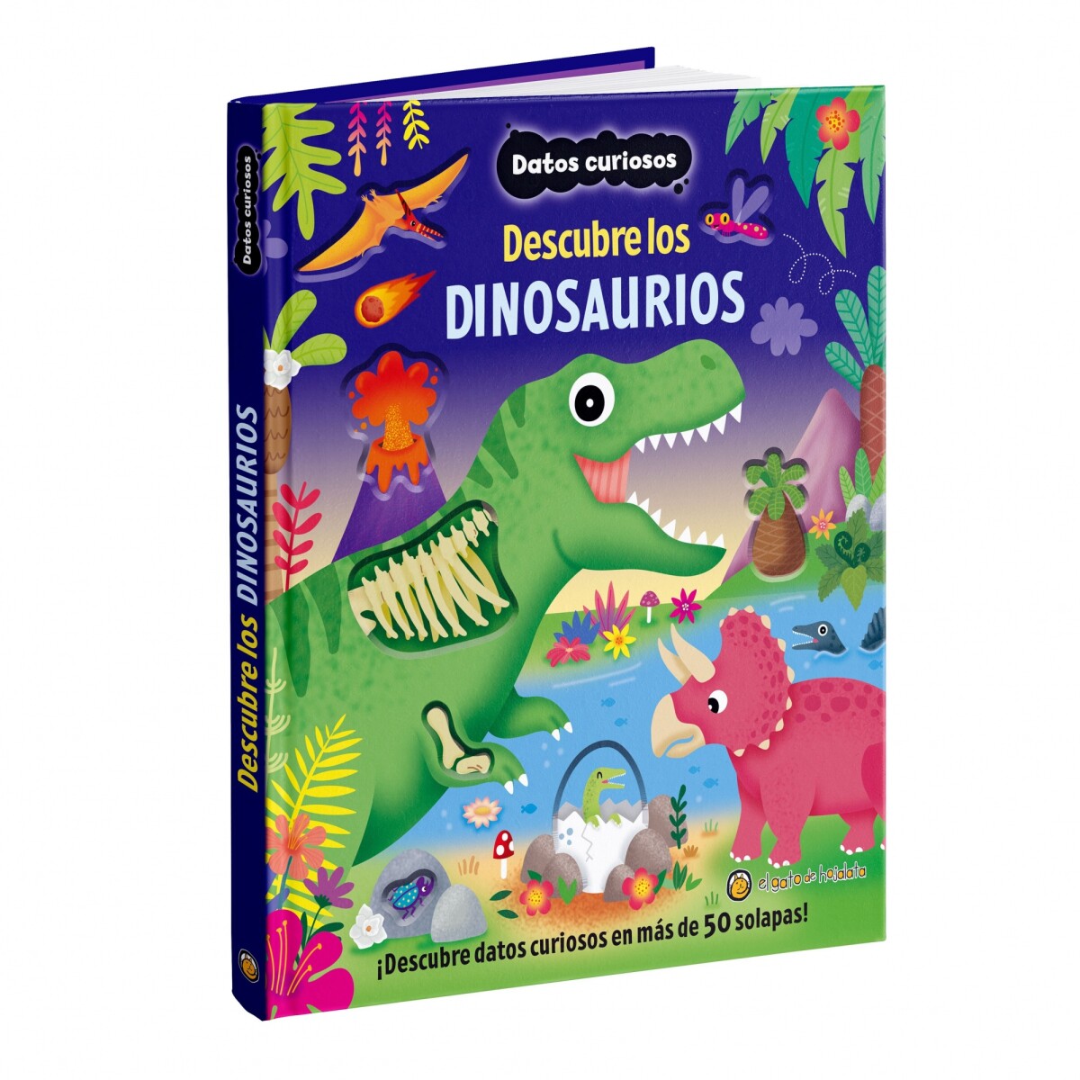 Libro Infantil Datos Curiosos Descubre los Dinosaurios 