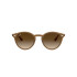 Ray-Ban Black on Gold Beige on Gold