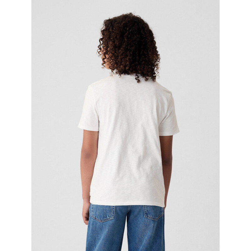 SS PKT TEE OPTIC WHITE