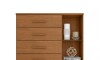 Cómoda Zapatera Genova Plus 1 Puerta 4 Cajones Cinamomo