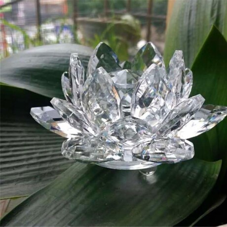Flor De Loto Chica Translucida