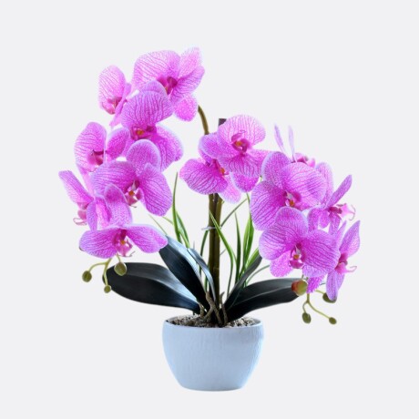 Orquidea Con Maceta Blanca Lila